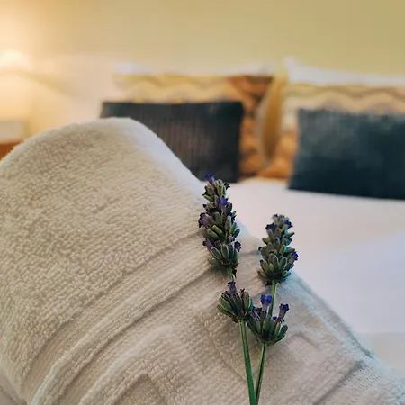 Casa Do Penedo Casa de Férias *