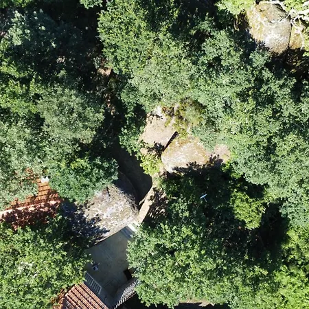 Casa de Férias Casa Do Penedo *