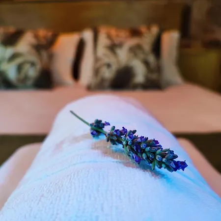 Casa Do Penedo Casa de Férias Castro Laboreiro