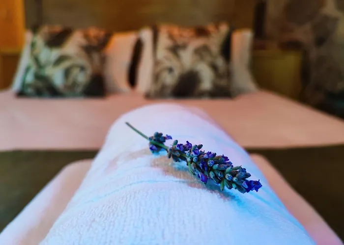 Casa Do Penedo Сasa de vacaciones Castro Laboreiro